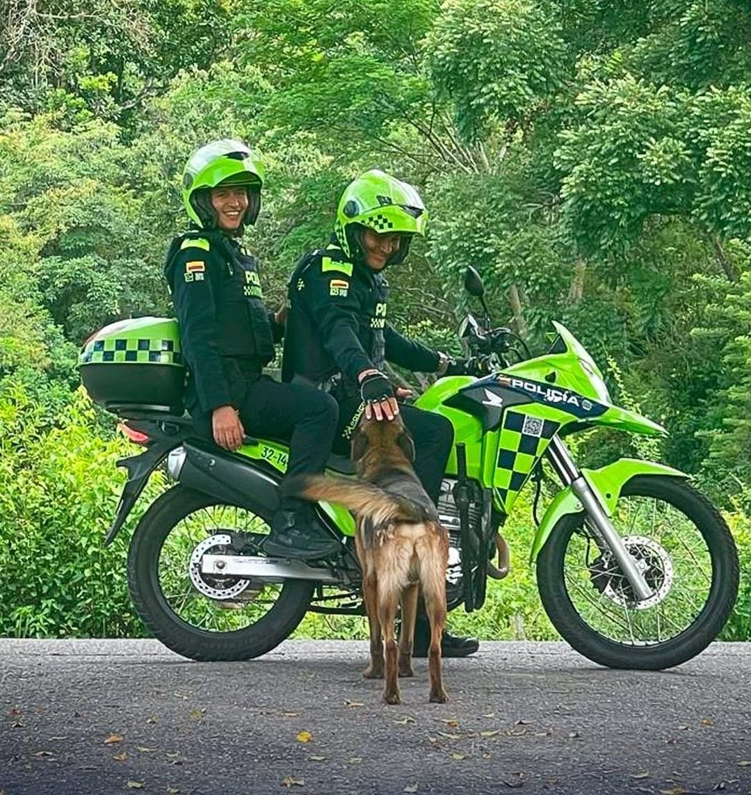 Incondicionalidad canina: un refugio de cariño con sello policial